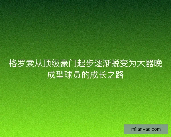 格罗索从顶级豪门起步逐渐蜕变为大器晚成型球员的成长之路
